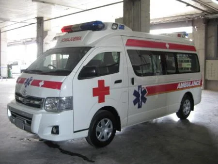 Professional Personnel